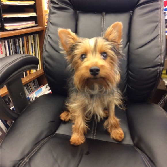 Meet your Posher, Maria Poshmark Ambassador - Picture 5 of 8